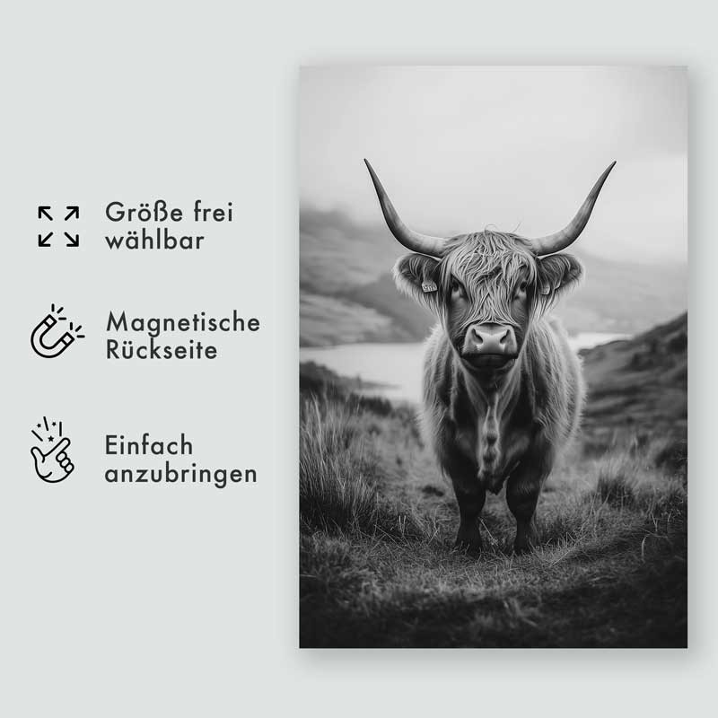 Tiere: Highland Spirit